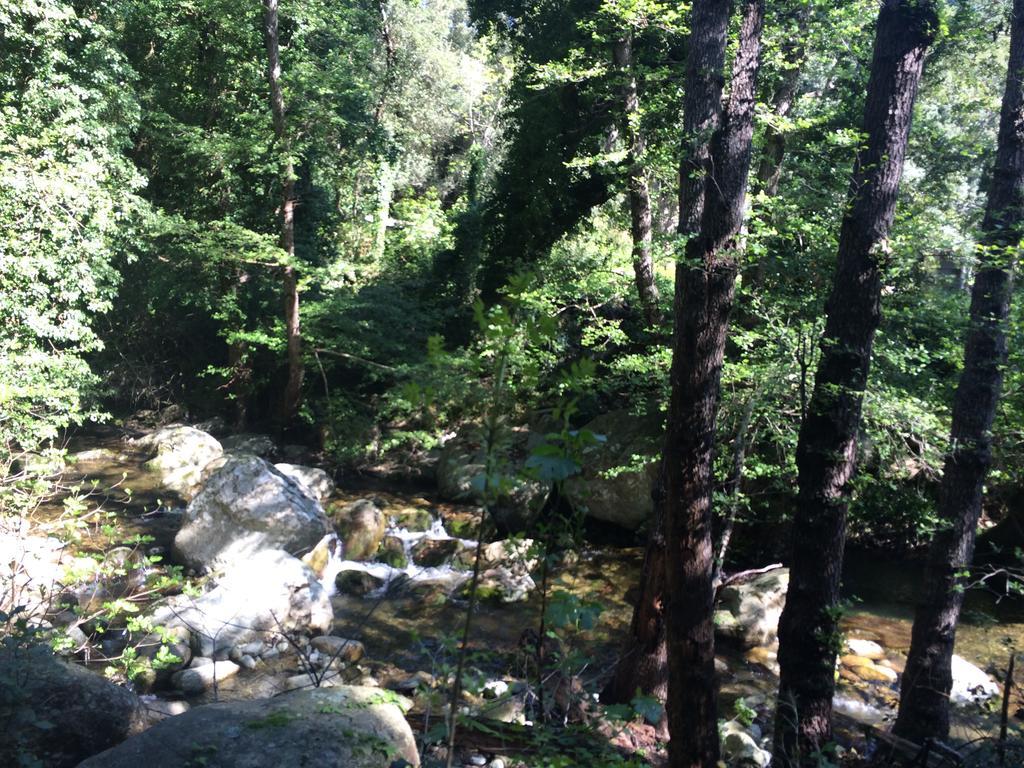 Gite U Licetu A La Campagne Oreta Экстерьер фото